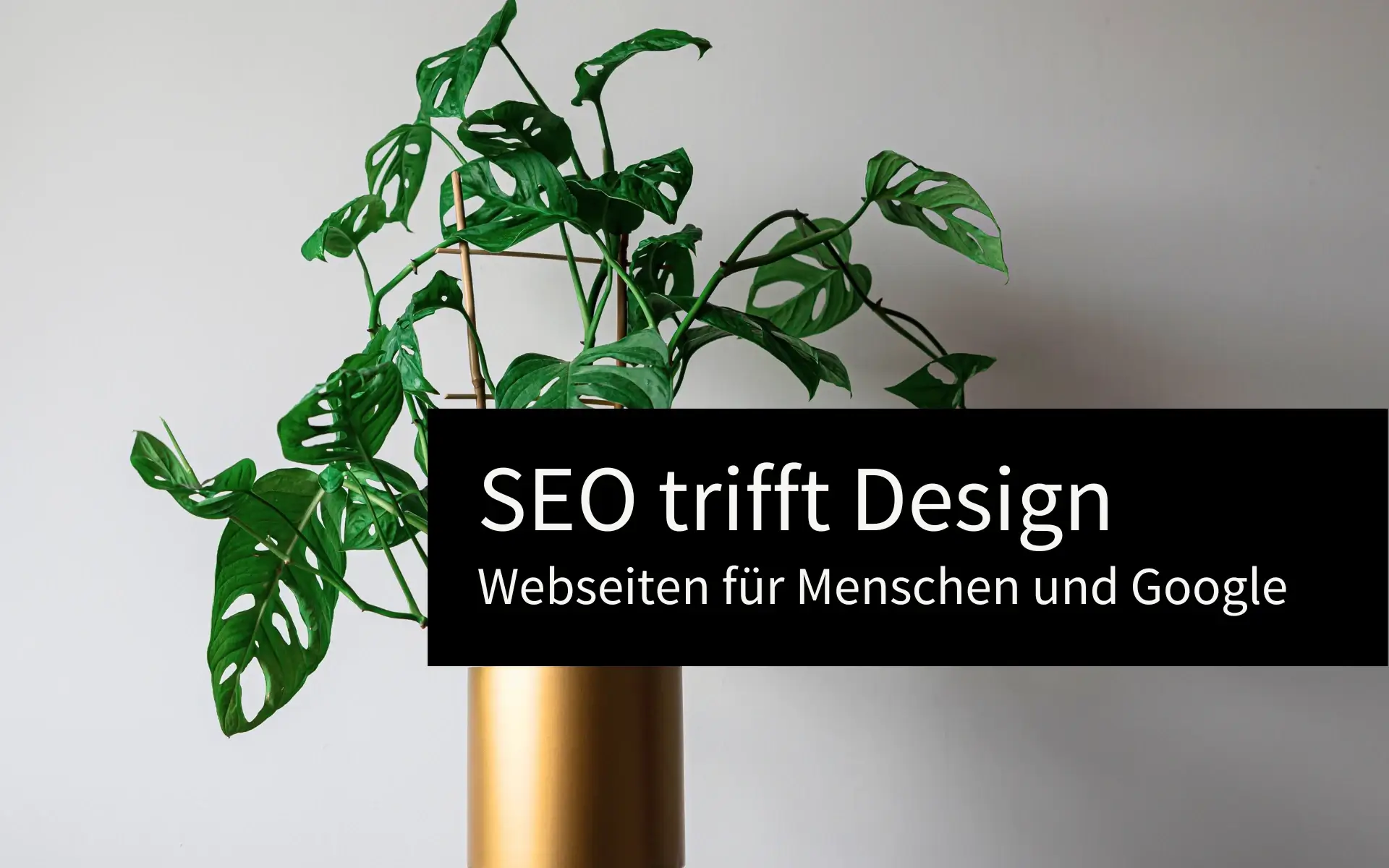 SEO trifft Design: Webseiten für Menschen und Google mit Strukturierte Inhalte für SEO