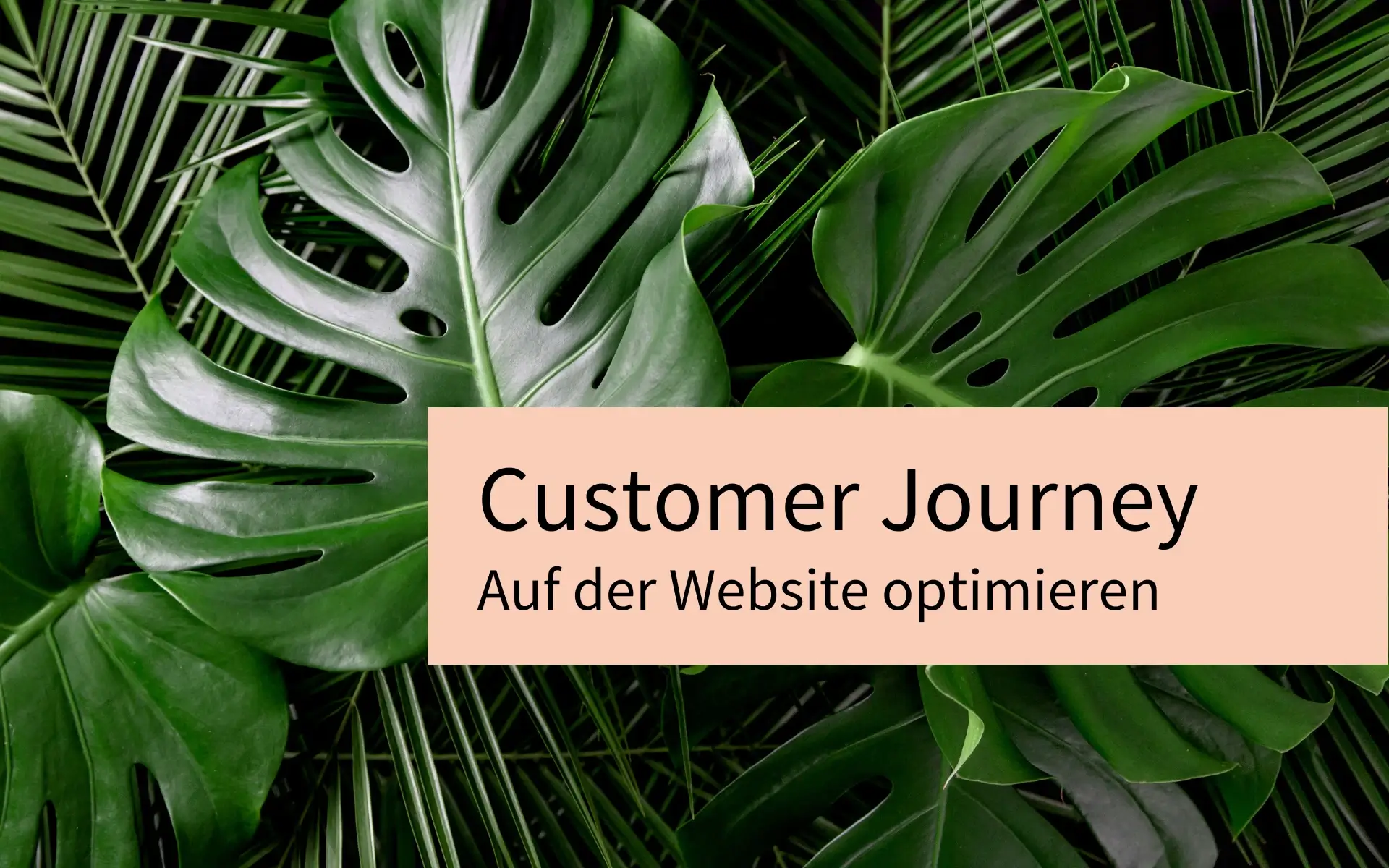 Customer Journey auf der Website optimieren