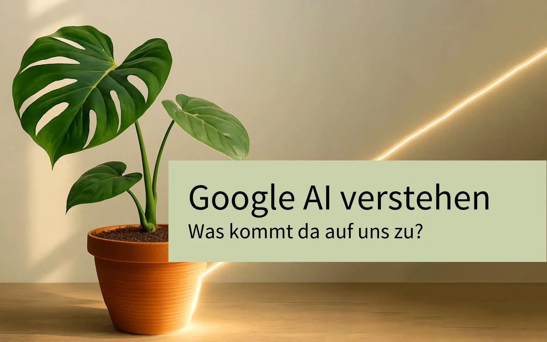Google AI verstehen: Was kommt da auf uns zu?