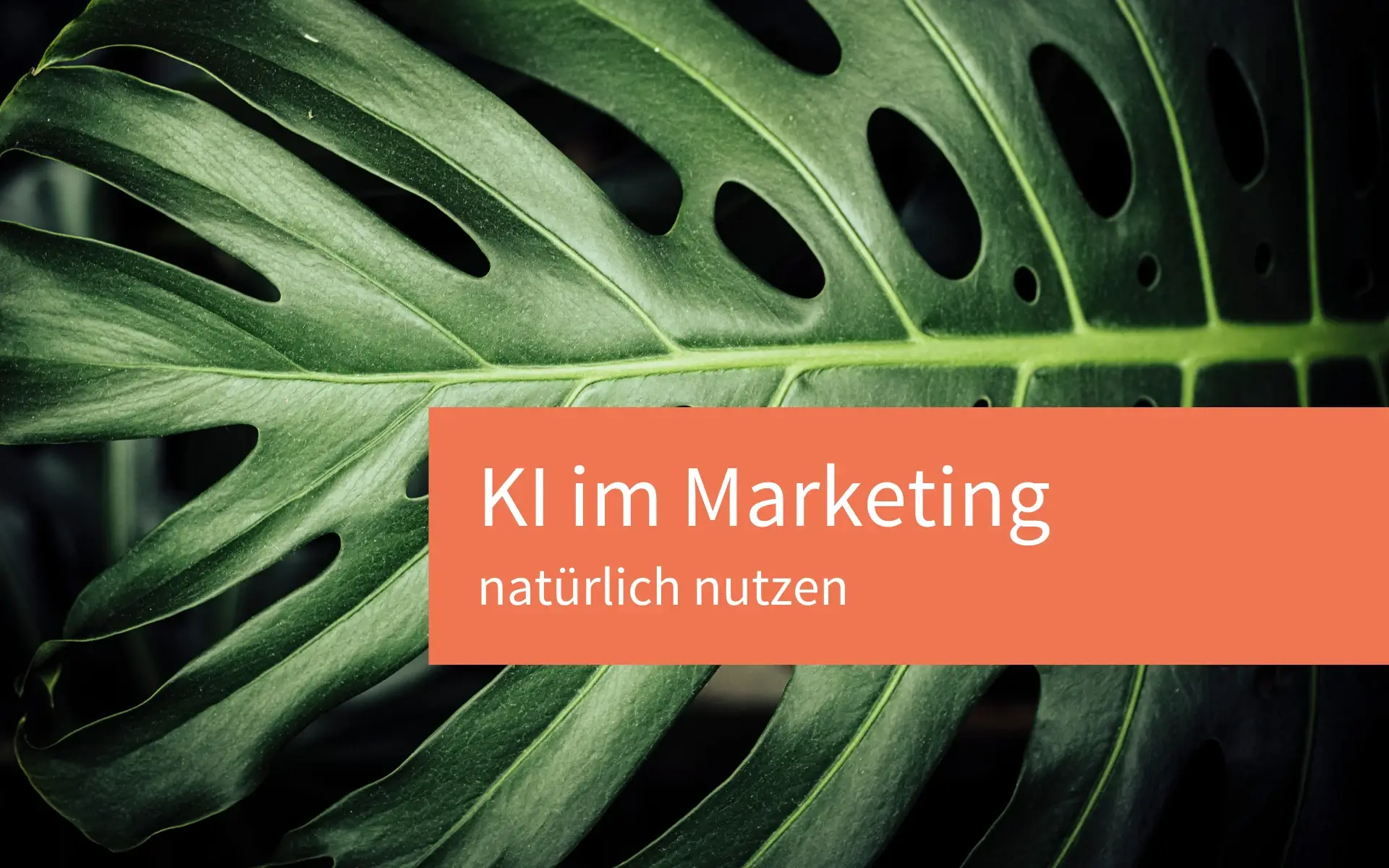 Wie Du KI im Marketing natürlich nutzen kannst – ohne Deine Persönlichkeit zu verlieren