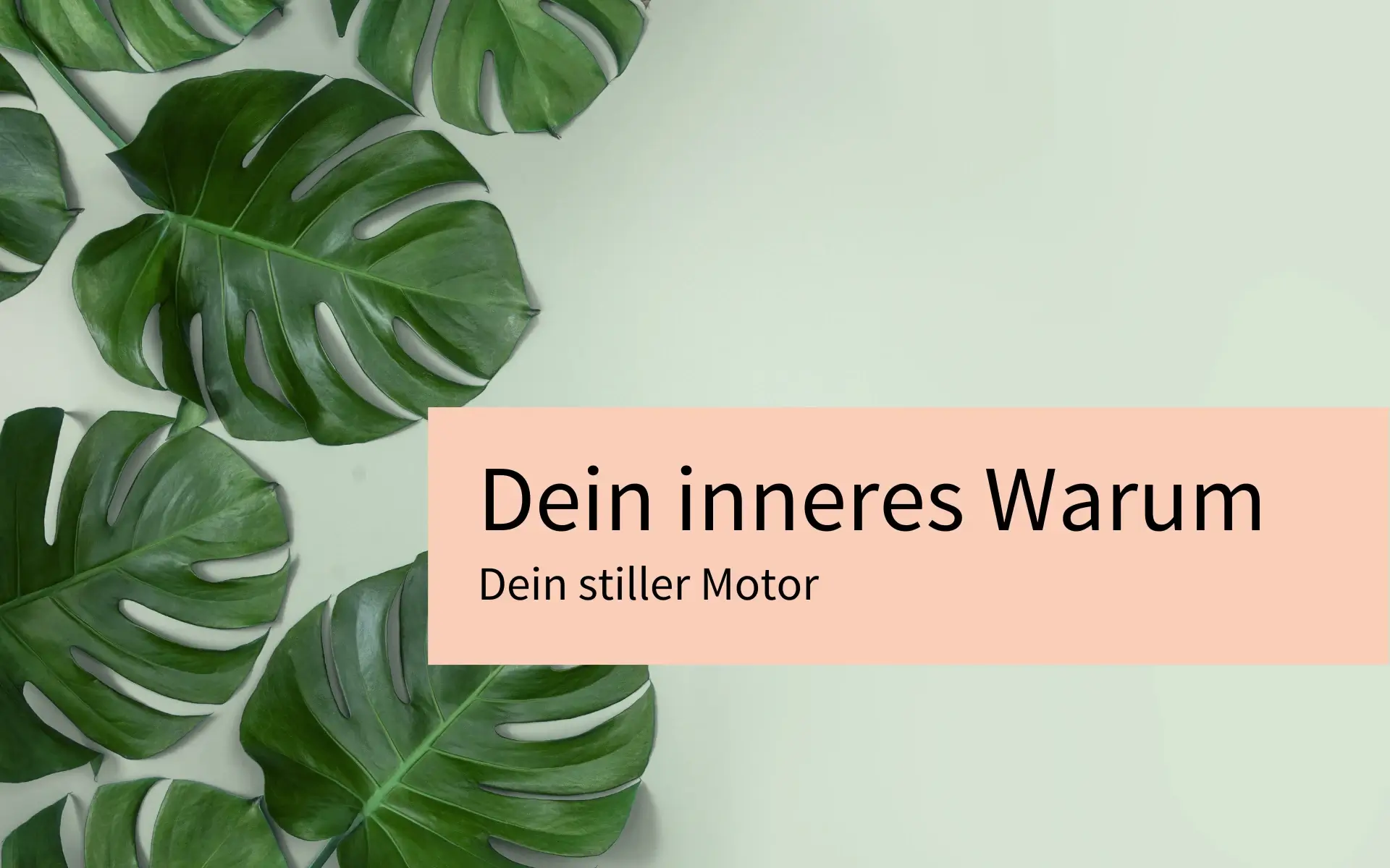 Dein inneres Warum ist der Schlüssel zu echter Sichtbarkeit.