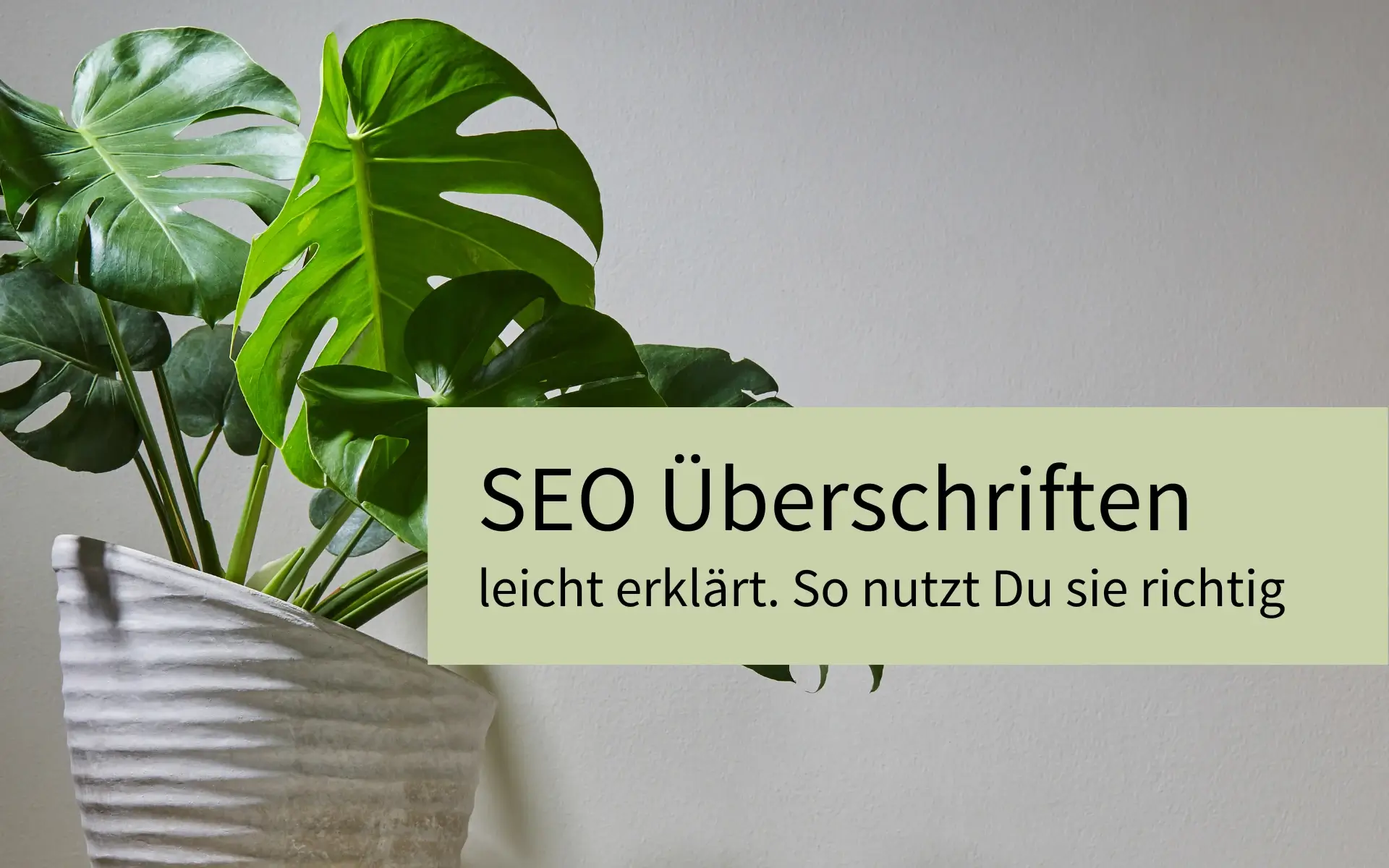 SEO Überschriften richtig setzen: Erfahre, wie Du mit H1 bis H4 Struktur, Sichtbarkeit und Lesefreundlichkeit auf Deiner Website verbesserst.